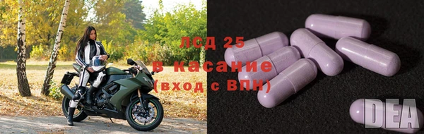 ECSTASY Осинники