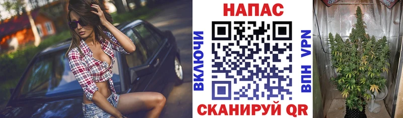 Бошки марихуана ГИДРОПОН Макушино